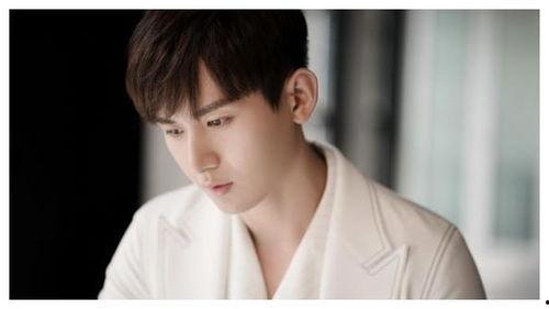 娱乐圈吃瓜成毅是谁,娱乐圈新晋小生成毅,究竟是谁?